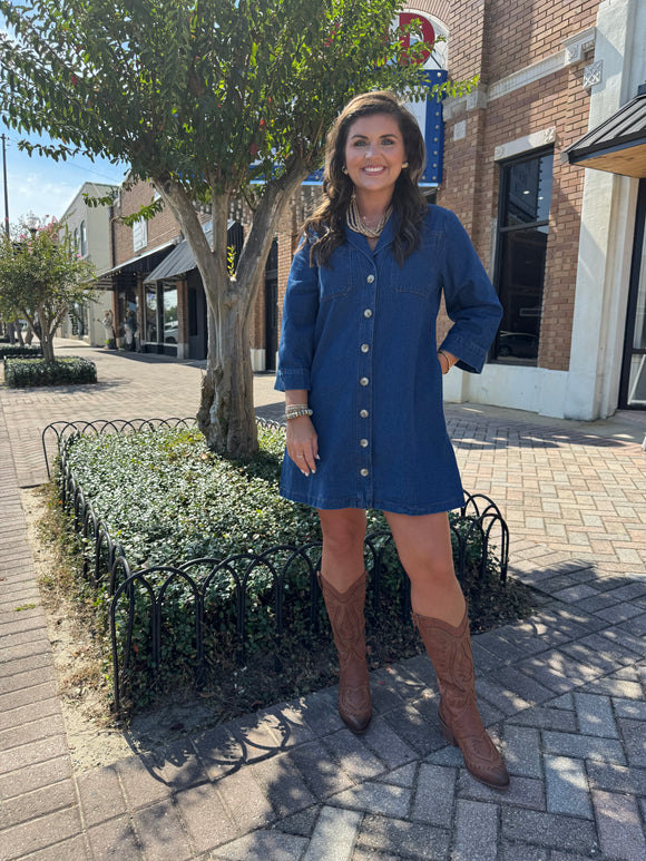 DENIM BUTTON UP DRESS